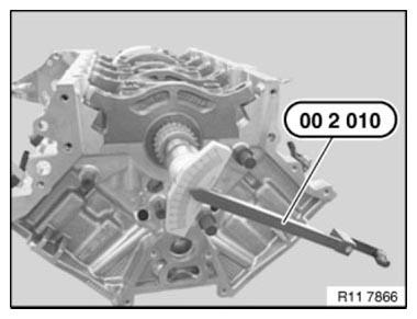 Crankshaft With Bearing